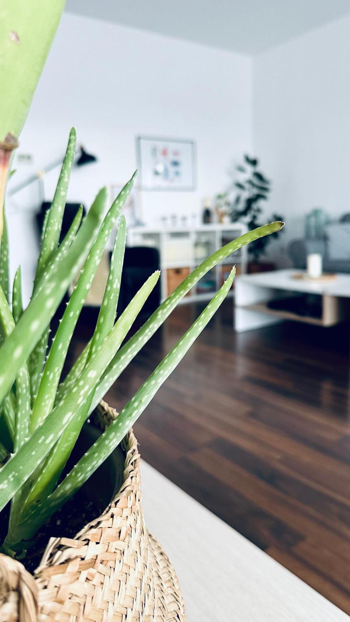 Bonjour Residence With Terrace And Parking Cluj-Napoca Ngoại thất bức ảnh